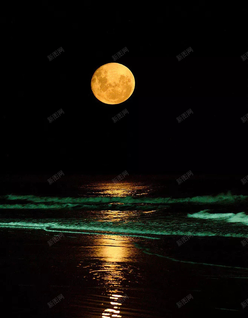 唯美夜景宣传海报psd设计背景_新图网 https://ixintu.com 个性 创意 唯美 夜景 文艺 晚上 月亮 海报 清新 特色 简约