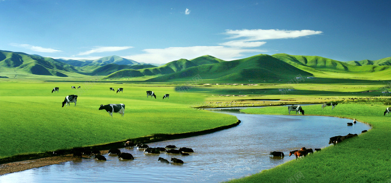 蓝天白云绿地奶牛牛奶广告jpg设计背景_新图网 https://ixintu.com 奶牛 海报banner 白云 绿地 蓝天