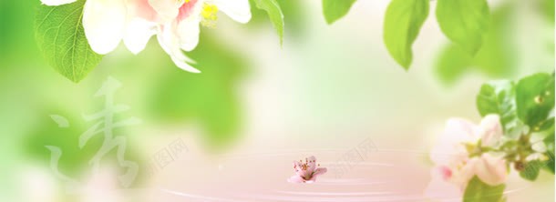 绿色清爽淘宝背景jpg设计背景_新图网 https://ixintu.com banner 淘宝海报 简约 绿色 背景