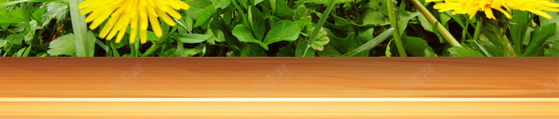 蜂蜜蜜蜂背景psd设计背景_新图网 https://ixintu.com PSD 山水 平面 广告 春天 春季 植物 模板 海报 素材 背景 花朵 蜂蜜 蜜糖 蜜蜂 风景 食物