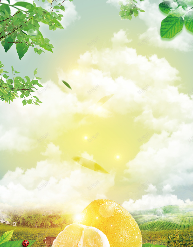 清新白云柚子水果店海报背景jpg设计背景_新图网 https://ixintu.com 四季柚 广告设计 开心 柚子促销 柚子宣传 柚子节 水果店 水果海报 沙田柚 海报背景 红甜柚 西柚