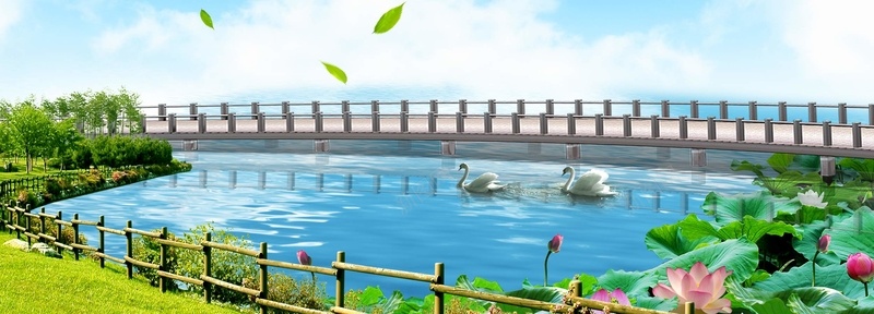 夏日池塘psd_新图网 https://ixintu.com 公园 园艺 天鹅 摄影 池塘 海报banner 风景