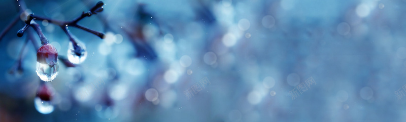 冬季唯美树枝水滴背景bannerpsd_新图网 https://ixintu.com 光晕 摄影 树枝 梦幻 海报banner 蓝色 风景