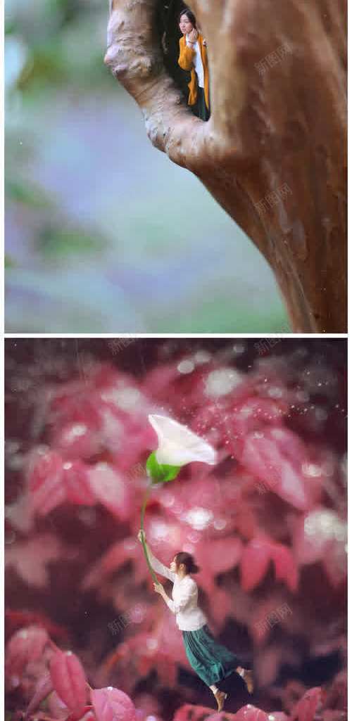 梦幻荷叶组图jpg设计背景_新图网 https://ixintu.com 图片 梦幻 荷叶