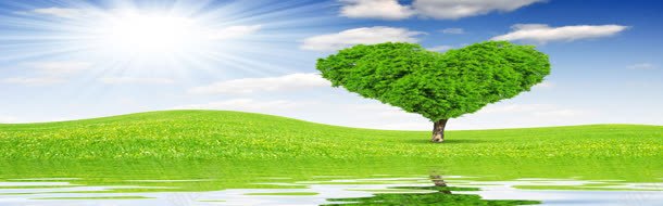 爱情树淘宝海报背景jpg设计背景_新图网 https://ixintu.com banner 大气 淘宝背景素材 简约 背景 都市