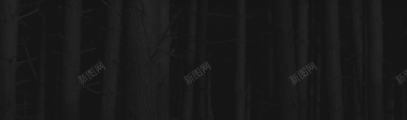 木头数字psd设计背景_新图网 https://ixintu.com 3 木头数字 木头文理 树木背景
