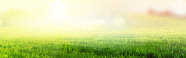 草坪背景jpg设计背景_新图网 https://ixintu.com 户外 清新 绿色 草地
