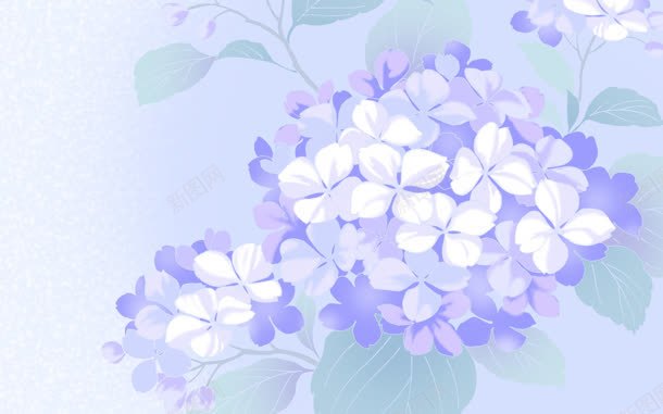 手绘紫色花朵淡雅壁纸jpg设计背景_新图网 https://ixintu.com 壁纸 淡雅 紫色 花朵