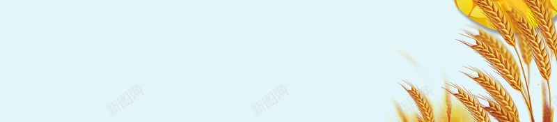 创意二十四节气芒种海报psd设计背景_新图网 https://ixintu.com 24节气 小满 户外 手绘 柳叶 燕子 稻穗 稻草人 芒种 芒种节气 麦子