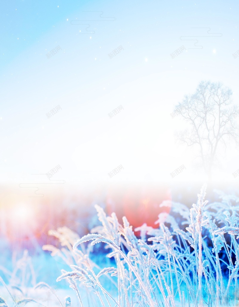 唯美二十四节气小寒背景模板psd设计背景_新图网 https://ixintu.com 24节气 PSD源文件 PSD素材 下雪 下雪了 二十四节气 农历节日 冬天 冬天到了 冬季 分层文件 小寒 小雪 背景模板 背景海报 背景素材 雪地 高清背景