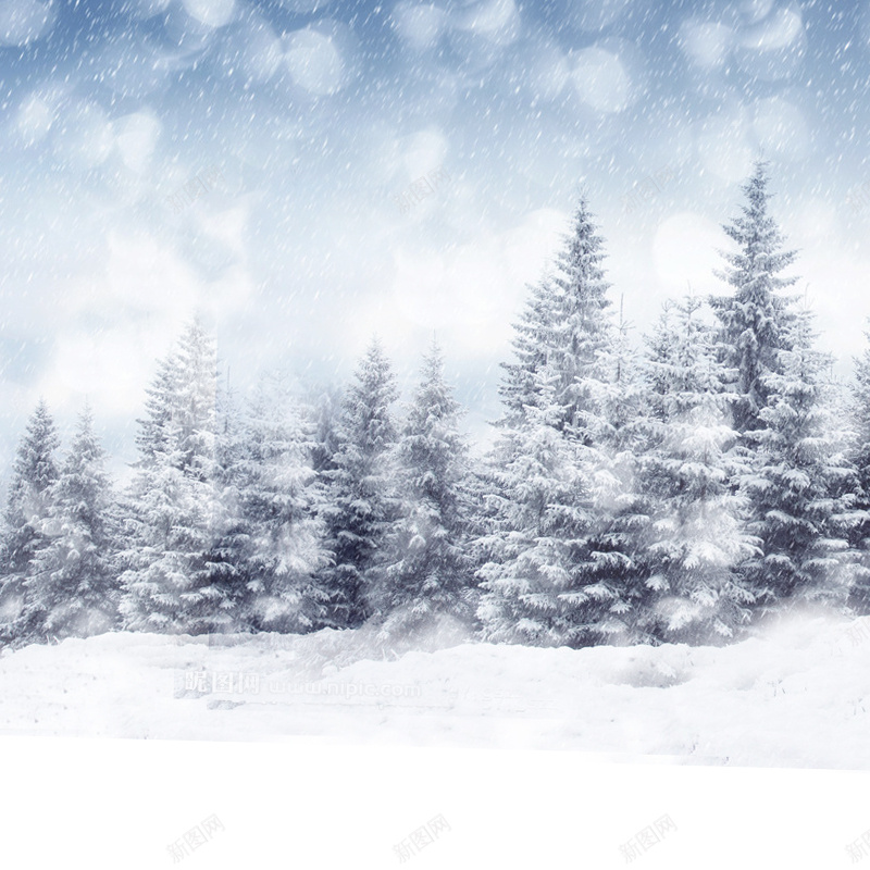 雪景主图背景psd_新图网 https://ixintu.com 主图 摄影 树 雪景 风景