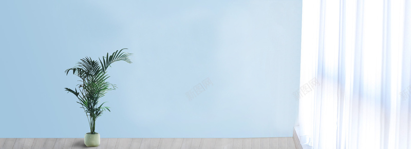 室内背景图jpg_新图网 https://ixintu.com 场景 室内 摄影 植物 海报banner 蓝色 风景
