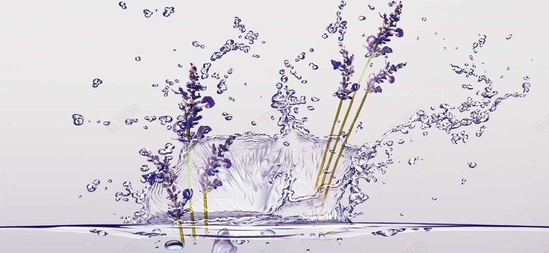 薰衣草化妆品背景psd设计背景_新图网 https://ixintu.com 化妆品 小清新 文艺 水滴 水珠 水花 海报banner 简约 精油 薰衣草 薰衣草精油 面膜