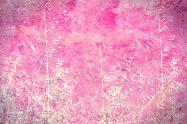 植物花纹背景边框jpg设计背景_新图网 https://ixintu.com 图片素材 底纹背景 底纹边框 怀旧背景 植物花卉背景 植物花纹背景边框图片 植物花纹背景边框图片素材下载 背景花边 背景边框