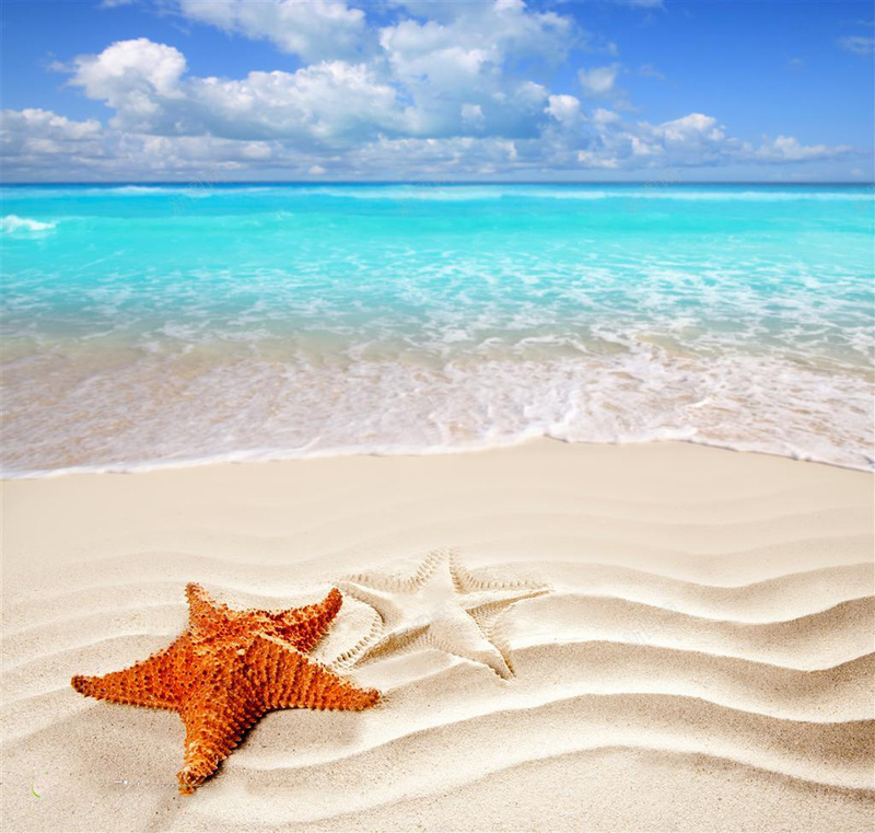 大海边上的海星近景摄影背景psd_新图网 https://ixintu.com 图片 大图 摄影 沙滩 海滩 涨潮 潮起潮落 退潮 风景 高清