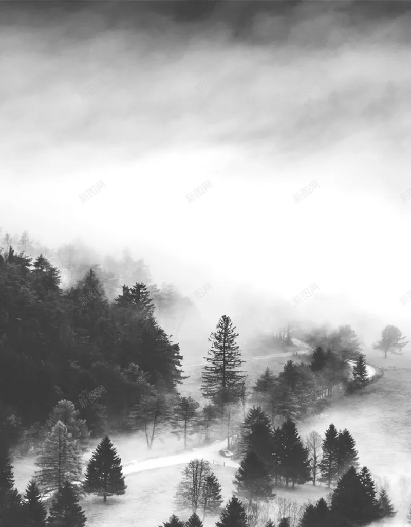 神秘树林山水海报psd设计背景_新图网 https://ixintu.com 世外桃源 个性 创意 唯美 山 树林 特色 神秘 迷雾