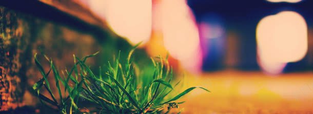 倔强的小草jpg设计背景_新图网 https://ixintu.com 倔强