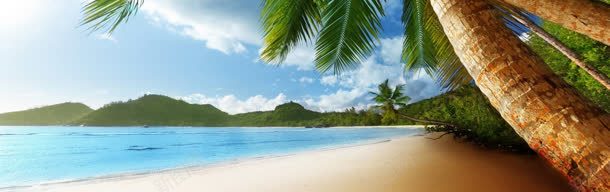 海边沙滩合成椰子树海报背景