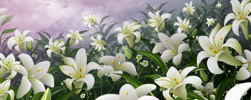 百合花风景淘宝网站背景图psd_新图网 https://ixintu.com 摄影 海报banner 淘宝网站背景图 百合花 风景