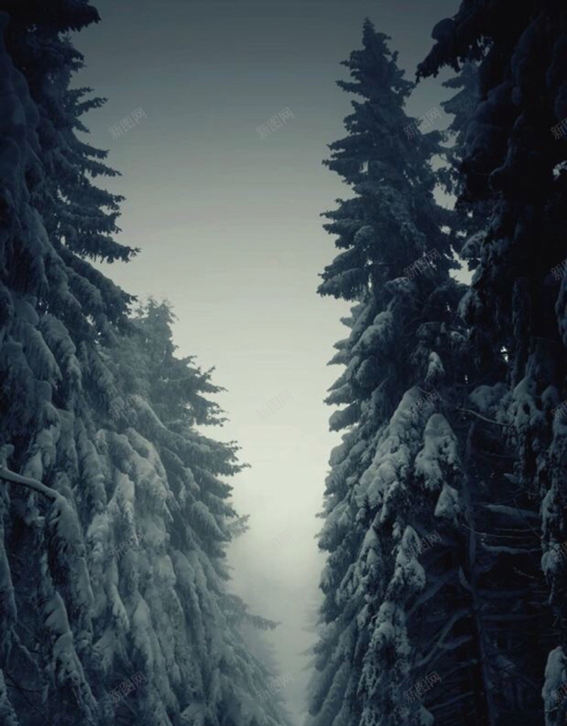恐怖森林独自走在雪路上背影大树海报jpg设计背景_新图网 https://ixintu.com H5 jpg 大树 幽森 恐怖 森林 独自 路上