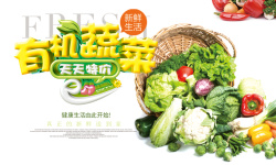 有机蔬菜促销海报背景海报
