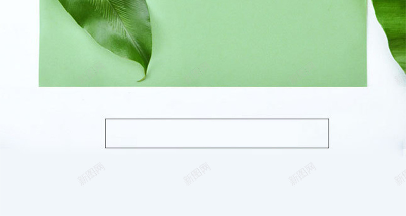白底绿叶清醒海报背景psd设计背景_新图网 https://ixintu.com 化妆品 叶子 宣传 家居 广告 开心 海报 清新 白底 绿色 背景