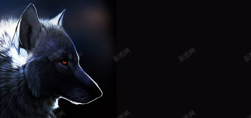 狼背景jpg设计背景_新图网 https://ixintu.com 凶狠 海报banner 狼 黑夜