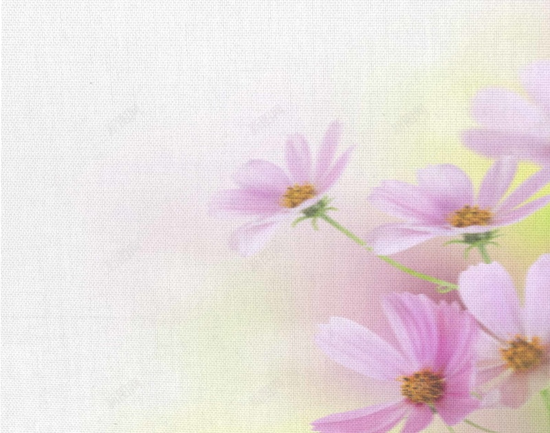 唯美布纹格桑花海报背景模板psd设计背景_新图网 https://ixintu.com 唯美 布料贴图 布纹 格桑花 海报背景 海报背景模板