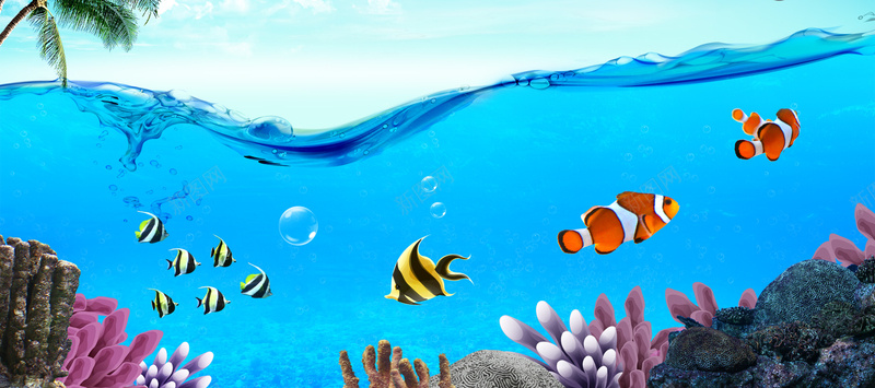 海底背景psd_新图网 https://ixintu.com 健康 大气 摄影 海报banner 风景 饮食 鱼儿