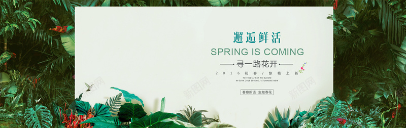 森林边框背景jpg设计背景_新图网 https://ixintu.com 叶子背景 小清新 小清新背景 文艺 树林背景 森林背景 植物背景 海报banner 海报背景 相框背景 简约 绿化背景 边框背景