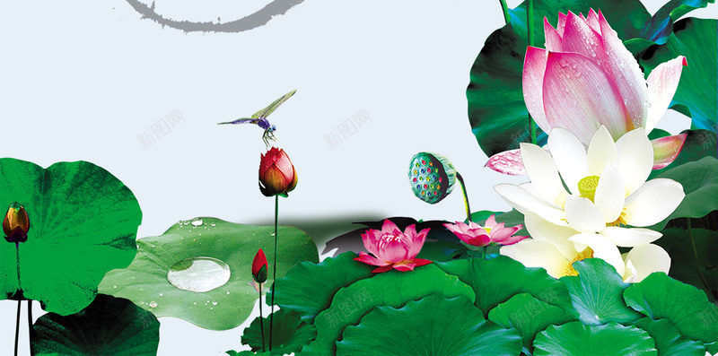 中国风大气夏季荷花蓝天H5背景jpg设计背景_新图网 https://ixintu.com H5背景 中国风 墨迹 夏季 大气 廉政 廉洁 手绘 荷叶 荷花 莲花 蓝色