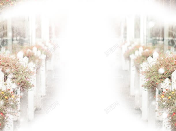 白色栅栏花丛海报背景jpg设计背景_新图网 https://ixintu.com 栅栏 海报 白色 背景 花丛