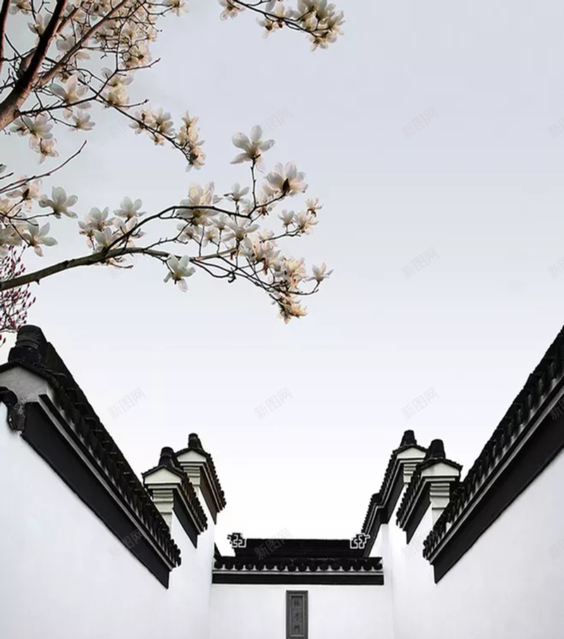 中国风建筑海报背景psd设计背景_新图网 https://ixintu.com 中国风 天空 屋顶 建筑 树干 樱花 空白 纹理 质感 黑白