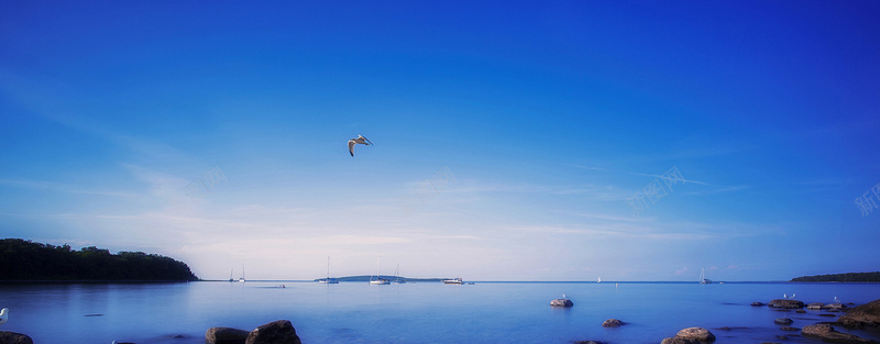 简约大气蓝色湖面飞鸟海报背景psd设计背景_新图网 https://ixintu.com banner 唯美 大气 摄影 海报banner 海报背景 海面 淘宝海报 简约 背景 背景素材 通用 风景