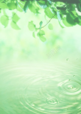 绿色天空水生态水滴绿叶背景