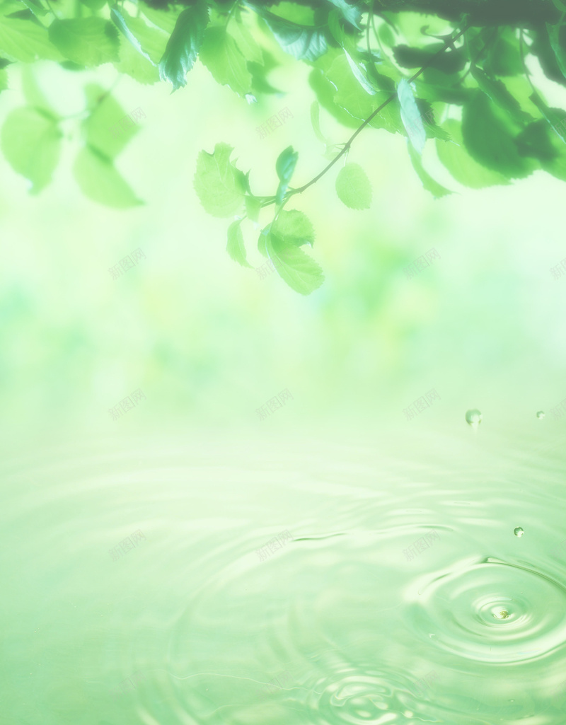 绿色天空水生态水滴绿叶jpg设计背景_新图网 https://ixintu.com 天空 水滴 水生态 绿叶 绿色