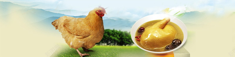 美食鸡汤banner创意psd设计背景_新图网 https://ixintu.com 其他 活鸡色彩 海报banner 酷炫 高大上 鸡汤