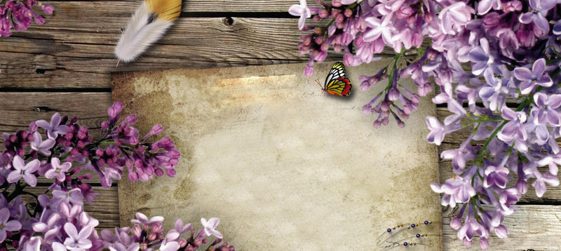 淘宝天猫banner背景jpg_新图网 https://ixintu.com 丁香花 信纸 唯美 摄影 浪漫 海报banner 紫色 风景