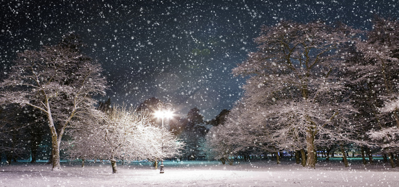 夜晚公园雪景jpg_新图网 https://ixintu.com 公园雪景 冬天夜景 摄影 树木 海报banner 白雪 路灯 雪花 风景