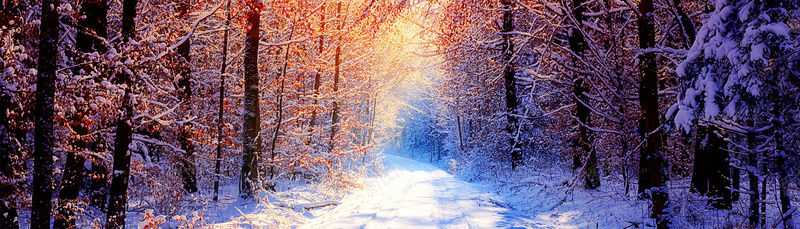 冬季唯美雪景psd_新图网 https://ixintu.com 女装 家居 户外背景 户外风景 摄影 活动场景 活动背景 海报banner 淘宝背景 男装 童装 风景