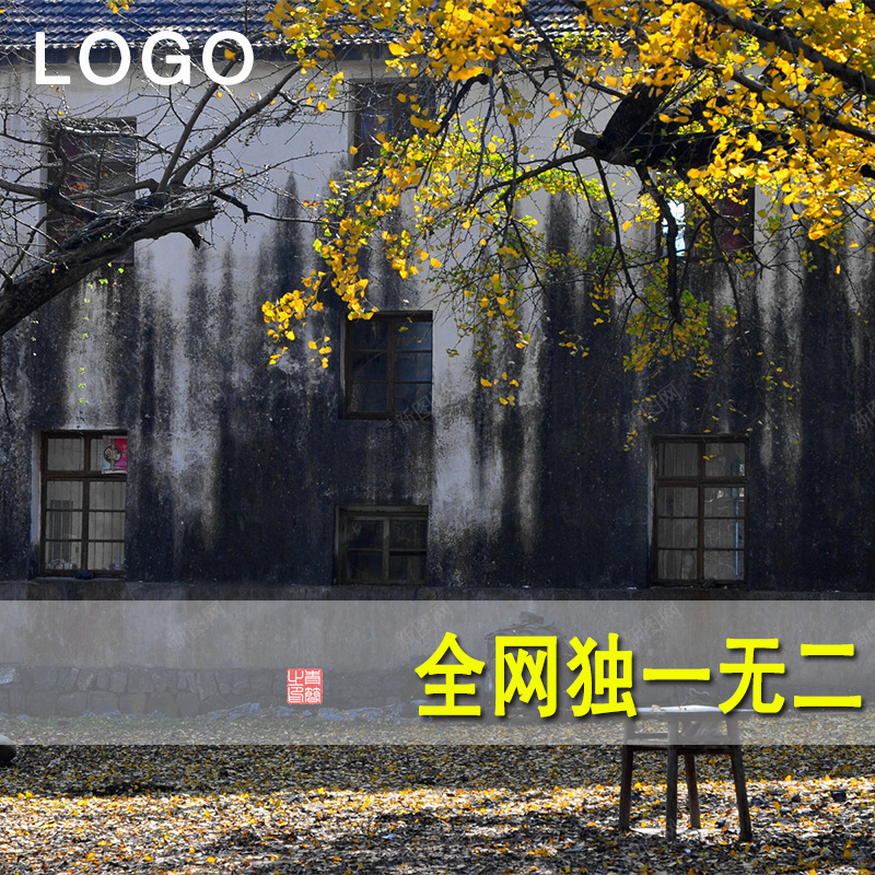 男装直通车休闲夹克主图psd_新图网 https://ixintu.com 上新男装 主图 休闲夹克 摄影 男装直通车 聚划算主图 落叶 风景