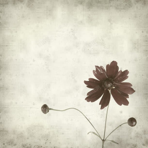怀旧鲜花背景边框jpg设计背景_新图网 https://ixintu.com 其它类别 图片素材 怀旧鲜花背景边框图片 怀旧鲜花背景边框图片素材下载 背景花边 背景边框 花卉 花朵背景 鲜花背景