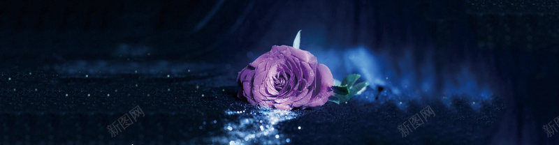 爱情玫瑰花唯美背景bannerpsd设计背景_新图网 https://ixintu.com banner 唯美 梦幻 浪漫 海报banner 爱情 玫瑰花 背景