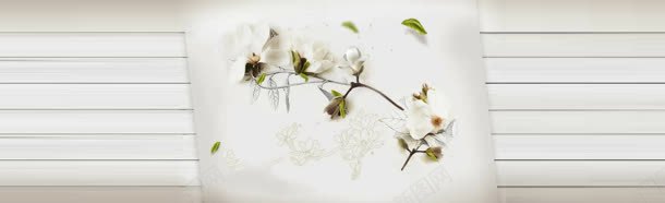 白色木板清新木槿花背景bannerjpg设计背景_新图网 https://ixintu.com banner 木板 木槿花 清新 白色 背景