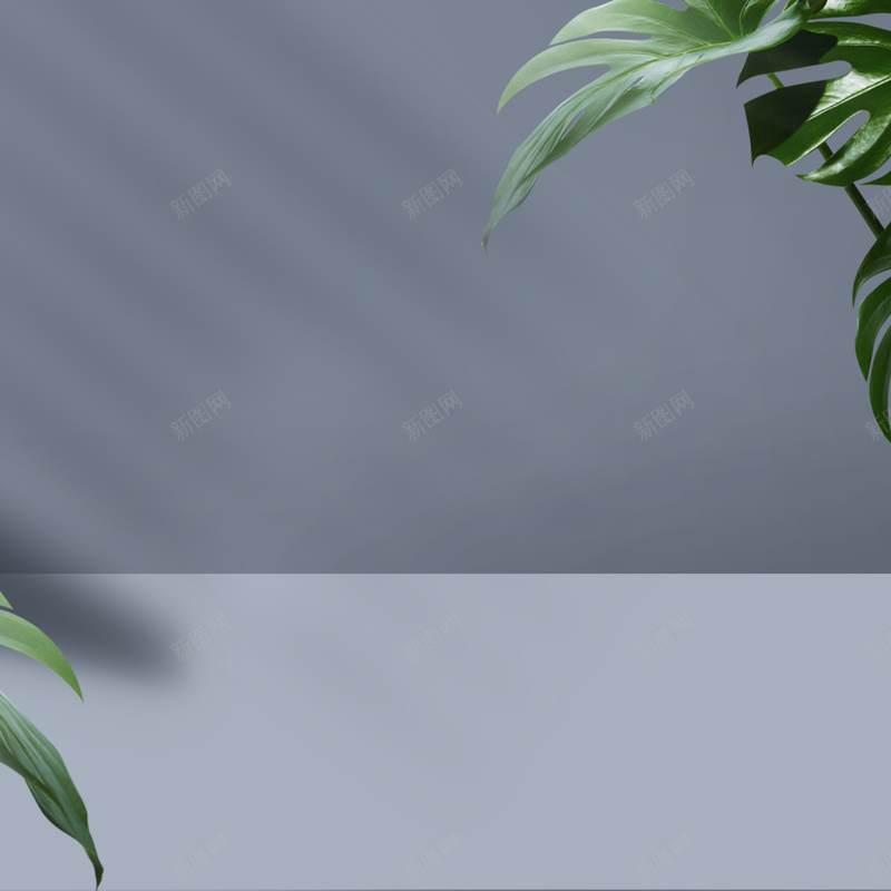 产品展示场景jpg设计背景_新图网 https://ixintu.com 产品 产品展示场景 场景 展示 背景