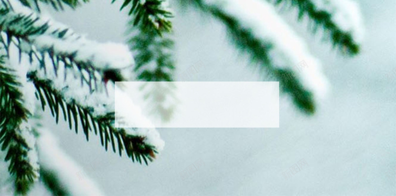 小雪二十四节气H5背景psd_新图网 https://ixintu.com H5 二十四节气 冬季 小雪 摄影 树脂 雪花 风景