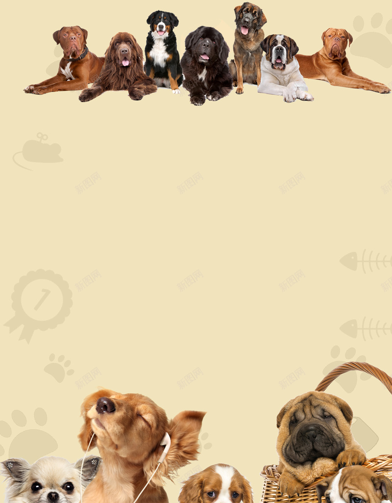 宠物猫狗宠物医院俱乐部海报背景psd设计背景_新图网 https://ixintu.com 宠物之家 宠物会所 宠物俱乐部 宠物海报 宠物猫狗 宠物美容 宠物诊所 广告设计 海报背景 温暖