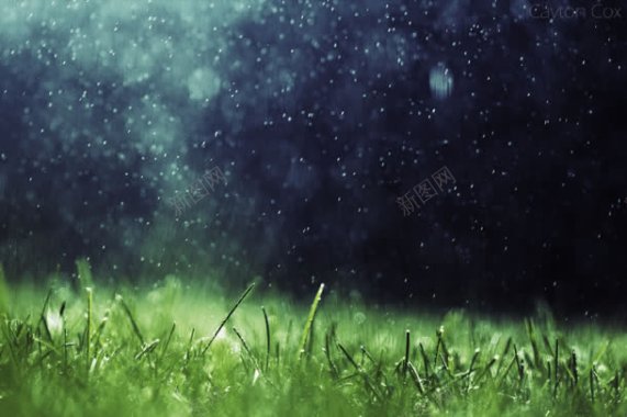 下着雨的蓝天小草背景