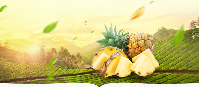 夏季凤梨大促销黄色背景psd设计背景_新图网 https://ixintu.com 凤梨海报 小清新 广告 文艺 树叶 水果 水果广告 水果背景 水果节 素材 背景 设计