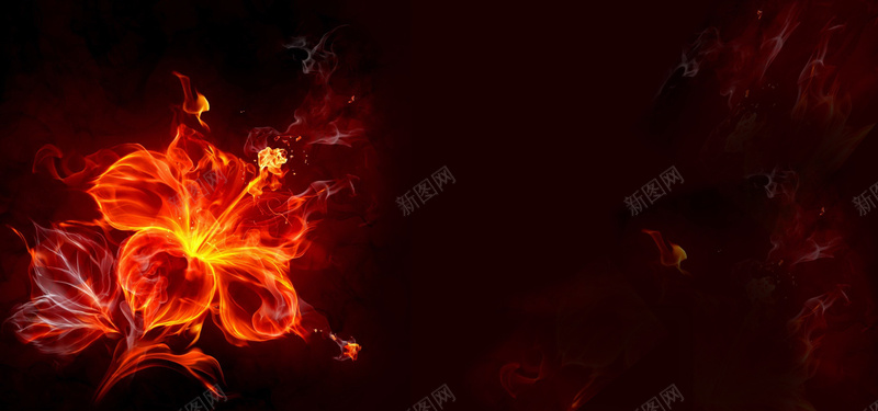 火焰花朵jpg设计背景_新图网 https://ixintu.com 海报banner 激情 热情 燃烧 狂欢 红色 黑色